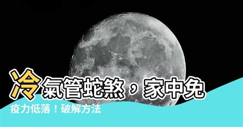 蛇煞化解紅紙|【房間蛇煞化解】破解房間蛇煞！風水大師教你化解厄運招好運 –。